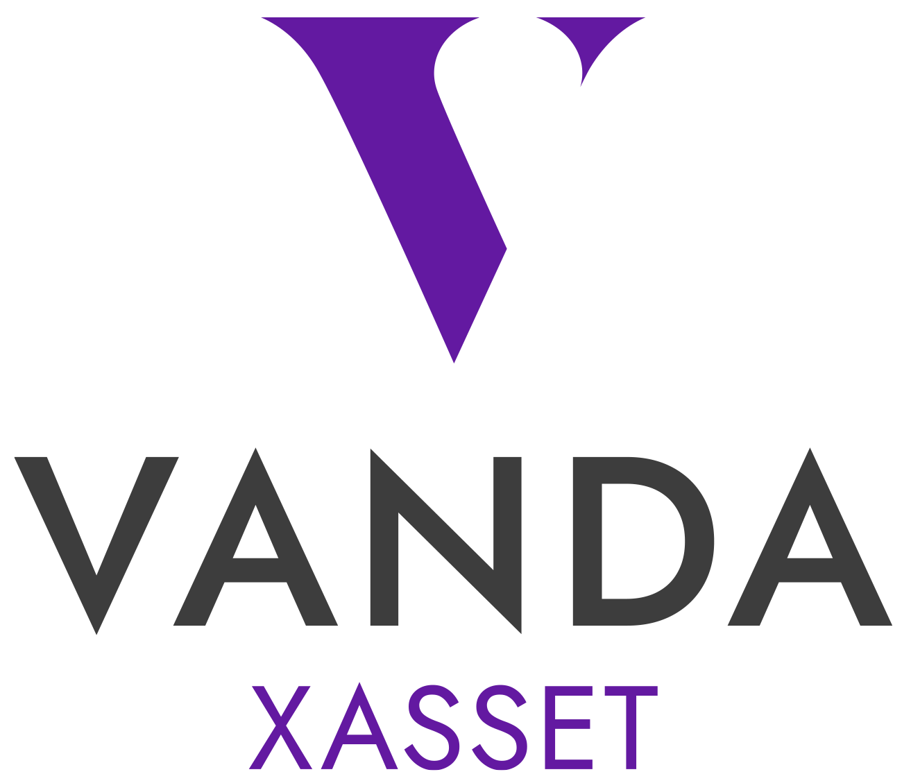 Vanda_asset_logo_positive_stacked_large